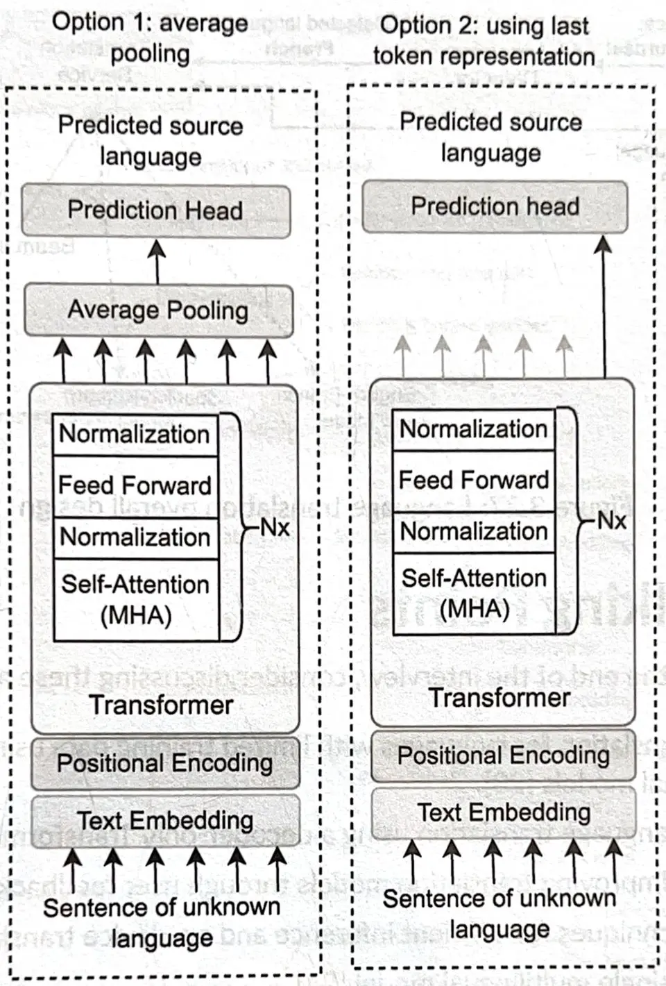 Language Detector